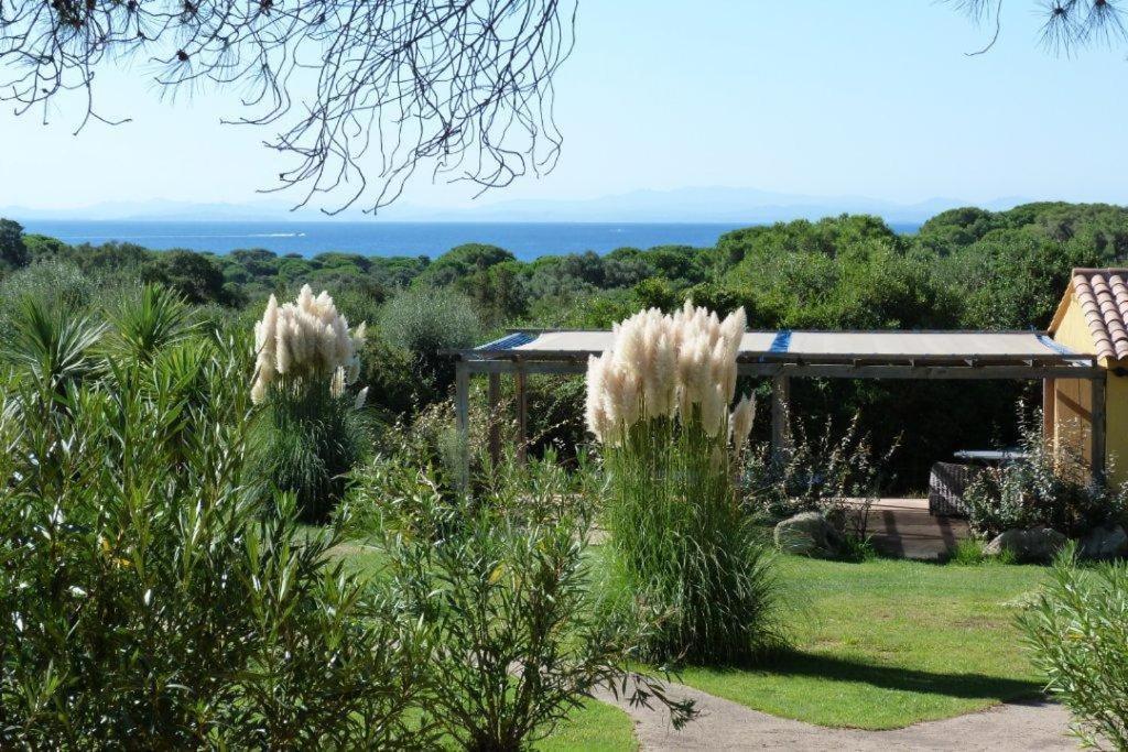 Palmiers De Palombaggia Villa Porto-Vecchio  Dış mekan fotoğraf